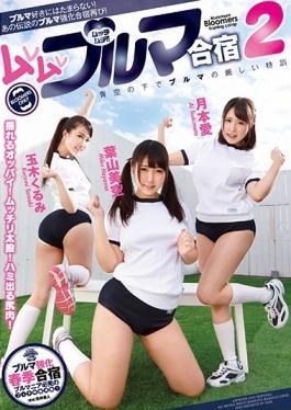 GVG-466 studio Glory Quest - Muremure Bloomers Camp 2