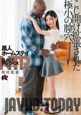 DASD-690 Studio Das - Black S*****t Homestay NTR Her Teeny Tiny Pusy Was Pried Open Wide Kanon Ichikawa