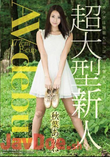 Uncensored STAR-647 Akiba Akane AV Debut