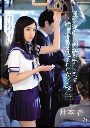 Uncensored TEAM-065 In The Middle School We Were Taught The Capstone By The Hand Of Molesting School Girls Tsujimoto Apricot