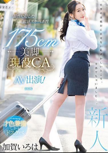 Uncensored PRED-494 175cm Beautiful Legs Active CA AV Appearance! Kaga Iroha