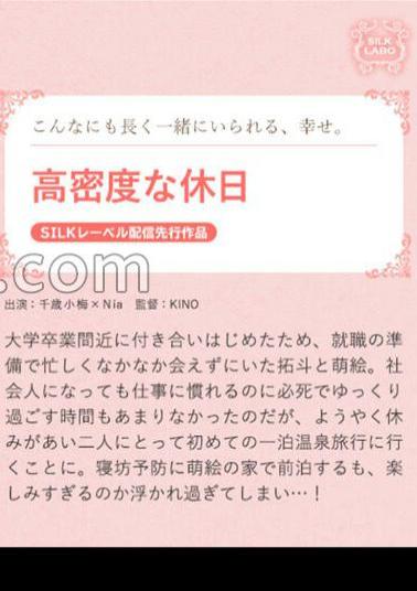 SILKS-107 High Density Holiday