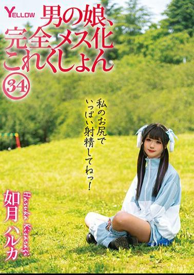 HERY-138 Man's Daughter, Complete Female Collection 34 Haruka Kisaragi