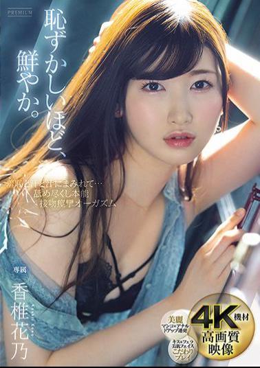 English Sub PRED-302 Covered With Shame, Sweat And Juice ... Licking Instinct Kissing Convulsions Orgasm Kashii Hanano