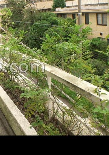 SIRO-5173 Exquisite Tongue Technique A Shaved G-cup Beauty Prefers Being Licked Than Being Touched When Her Cute Expression Turns Into A Naughty Expressionit's Already A Signal For Union!