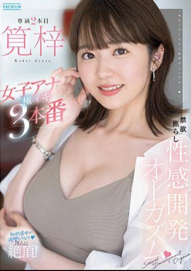 Mosaic PRED-535 Abstinence Teasing Sensual Development Orgasm 3 Extreme Orgasms Of Female Announcer Azusa Kakei