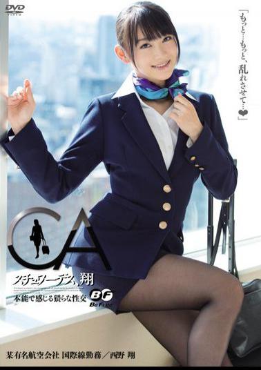 Mosaic BF-240 Sho Nishino Et Al Intercourse  Feel Stewardess, By Instinct Sho