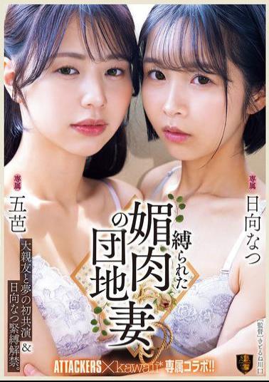 Mosaic SSPD-176 First Dream Collaboration With Best Friend & Hinata Natsu Bondage Debut. Bound And Seductive Apartment Wife